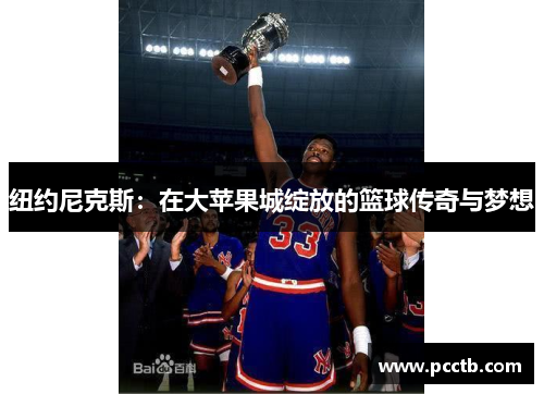 纽约尼克斯：在大苹果城绽放的篮球传奇与梦想